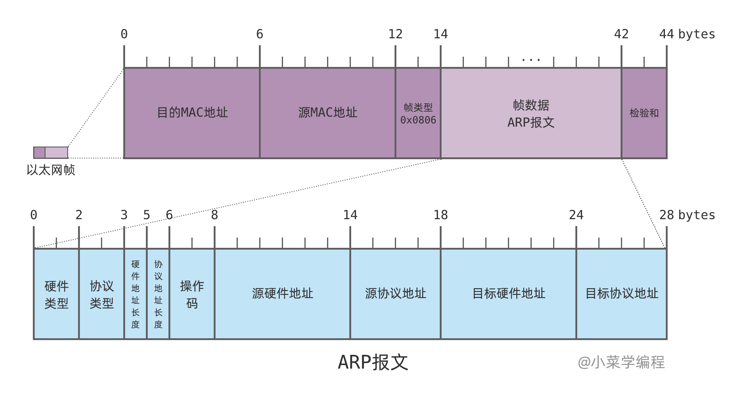 ARP帧结构